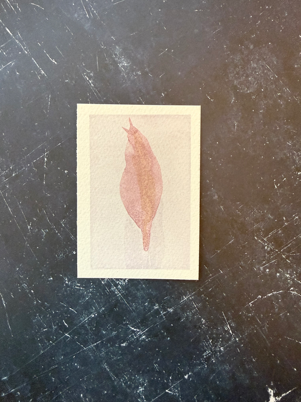 Slow & Steady aceo art card