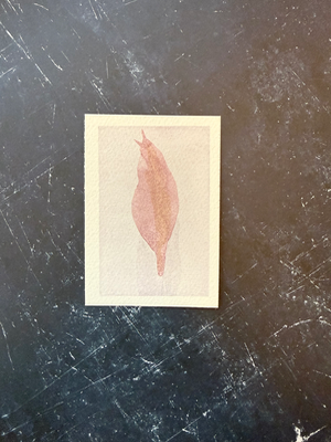 Slow & Steady aceo art card thumbnail 1
