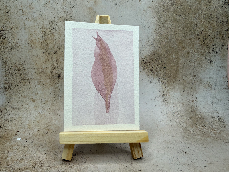Slow & Steady aceo art card