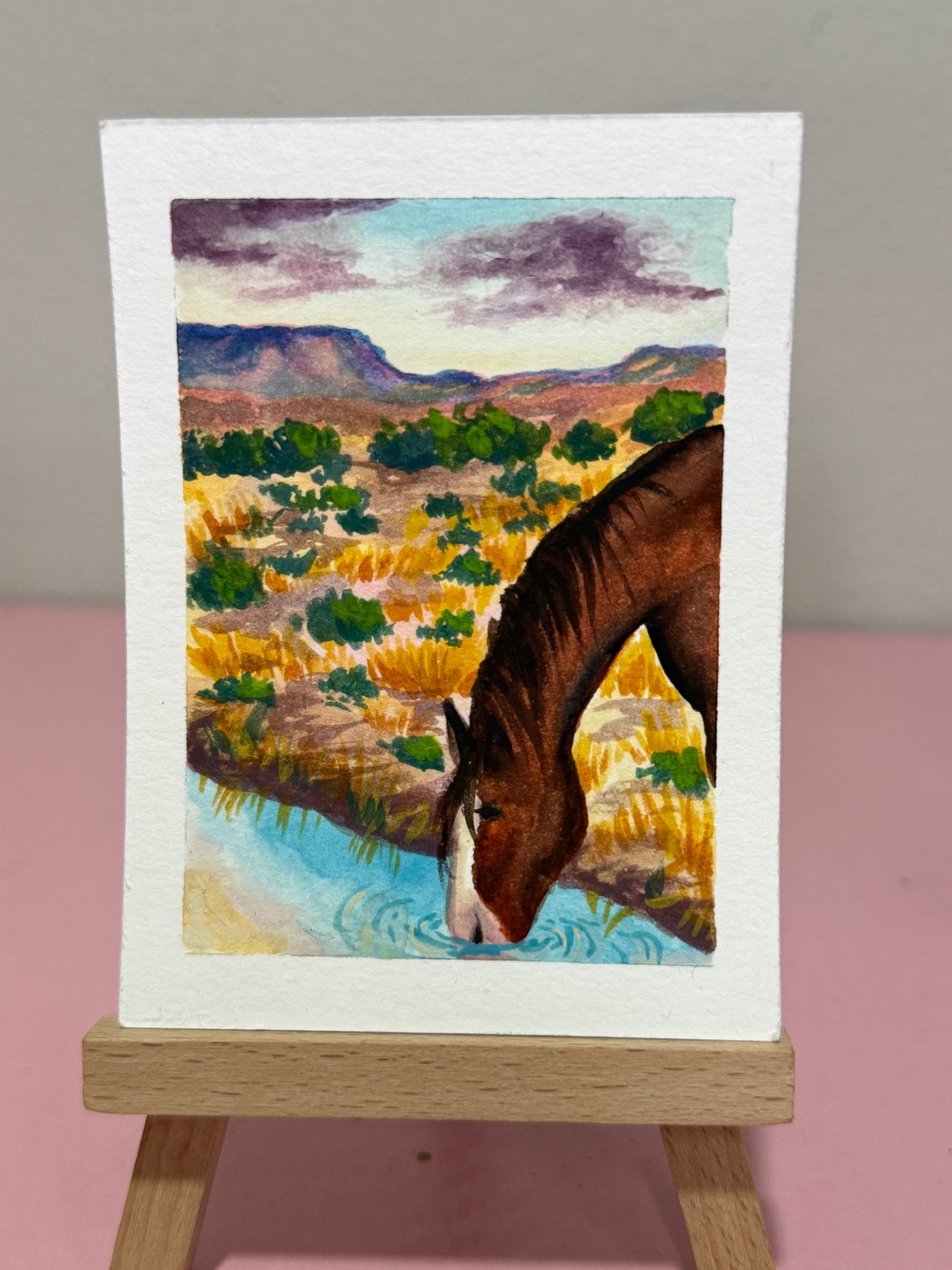 Horse in the Desert aceo art card