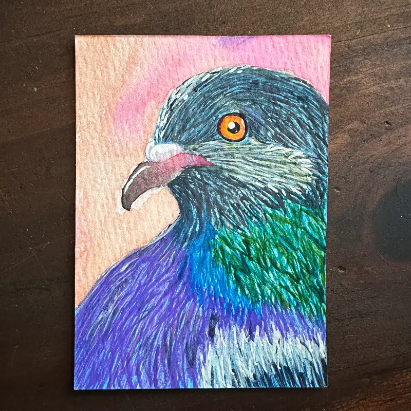 Portrait of a Pigeon - 3 of 3 originals aceo art card