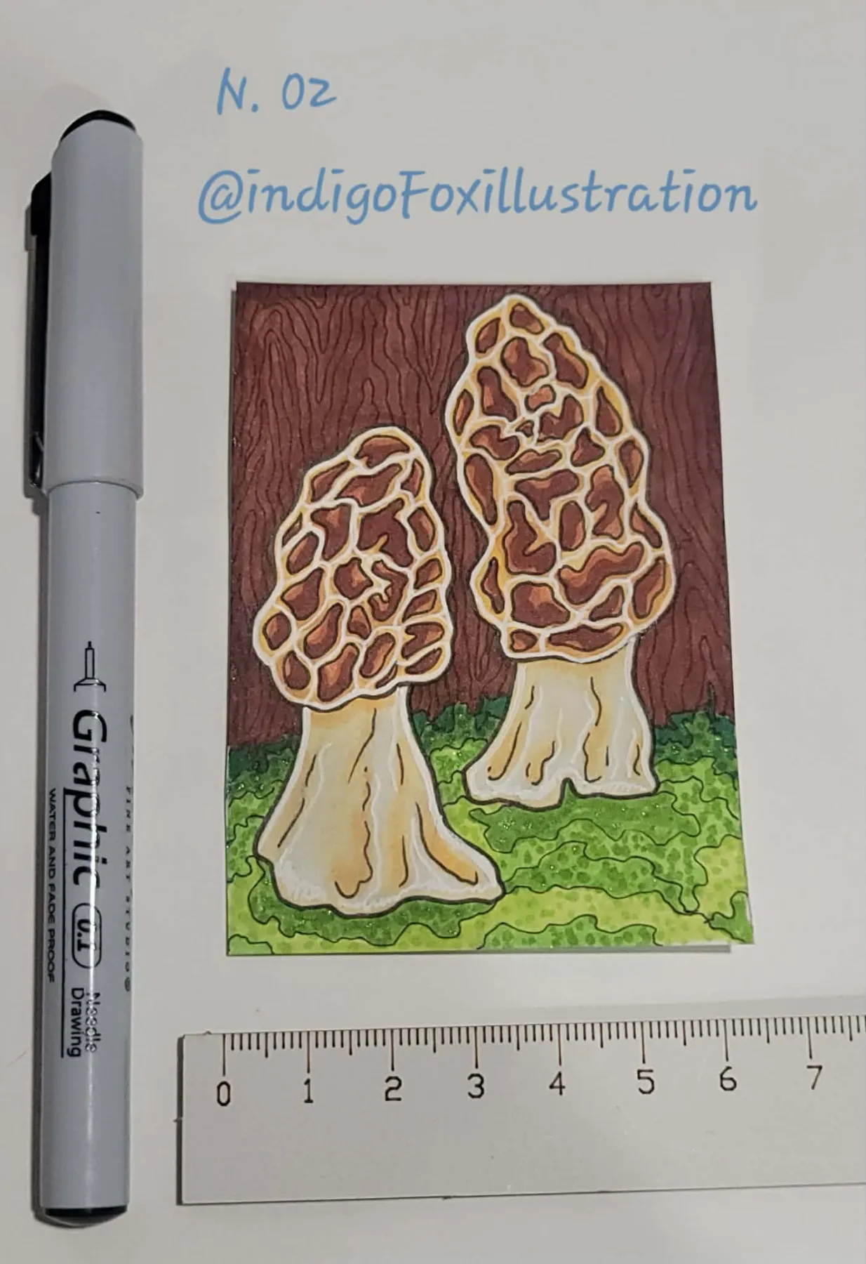 Morel Mushrooms in the Forest - Natural World Art - Original ACEO - indigoFoxillustration aceo art card