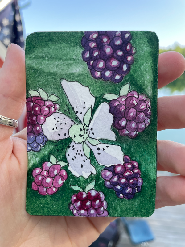 Wild Blackberries aceo art card