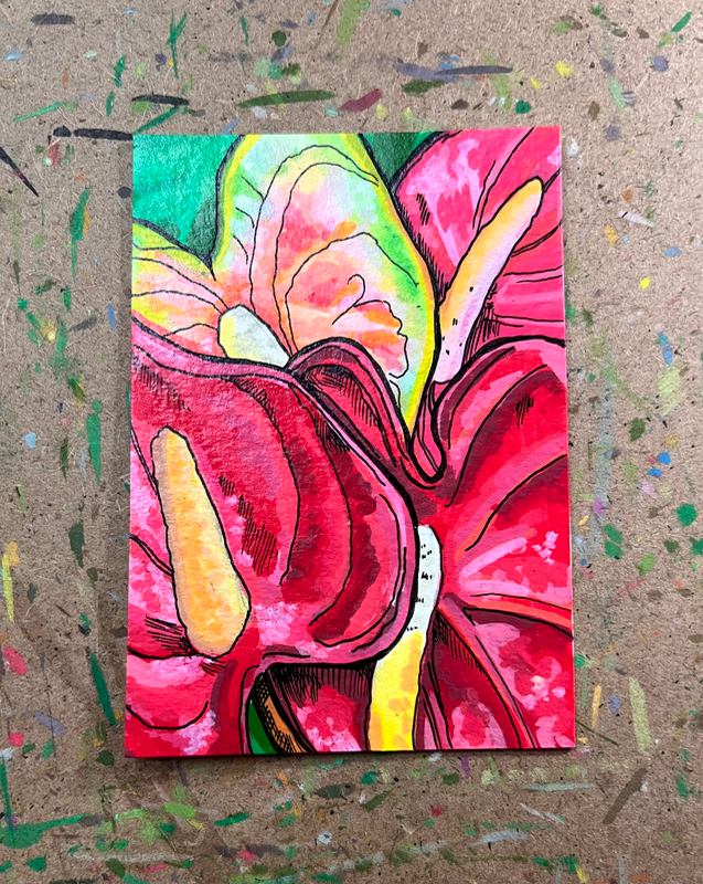 Anthurium aceo art card