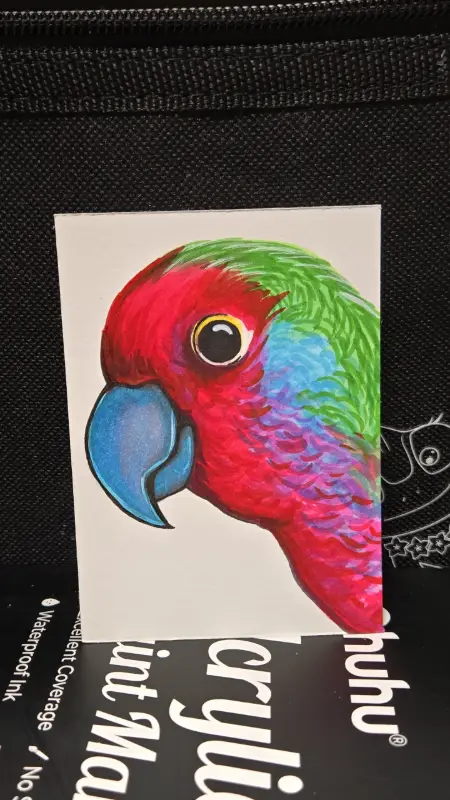 Parakeet aceo art card