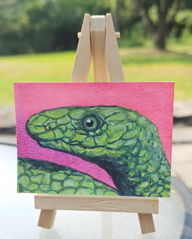 Green Mamba Snake aceo art card