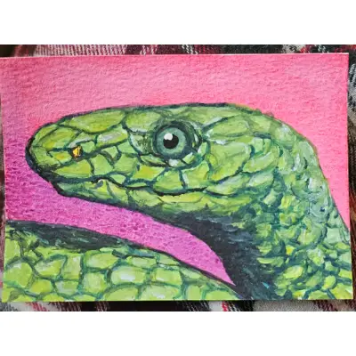 Green Mamba Snake aceo art card thumbnail 2