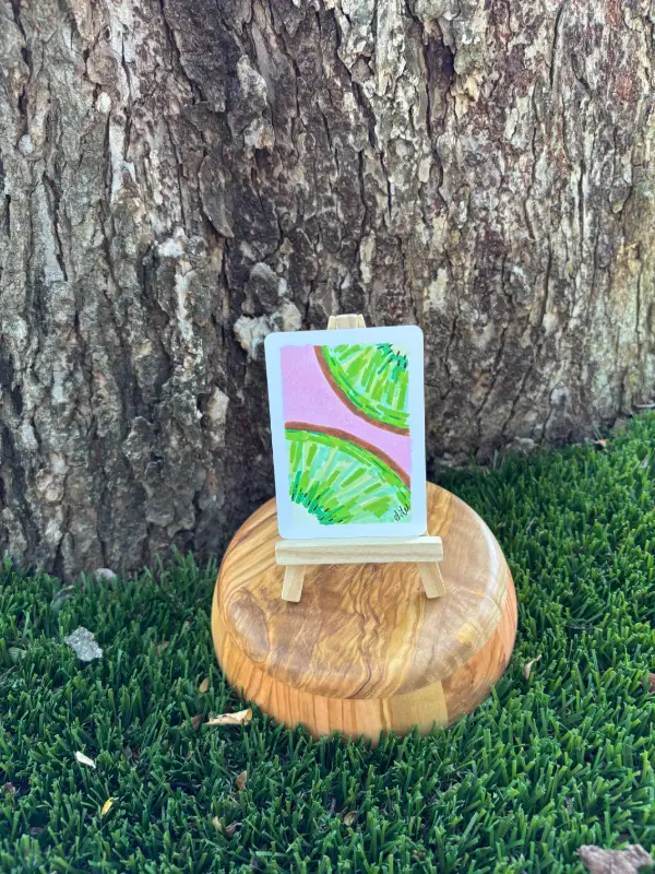 Summer Kiwi aceo art card