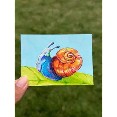 Pretty Snail aceo art card thumbnail 1