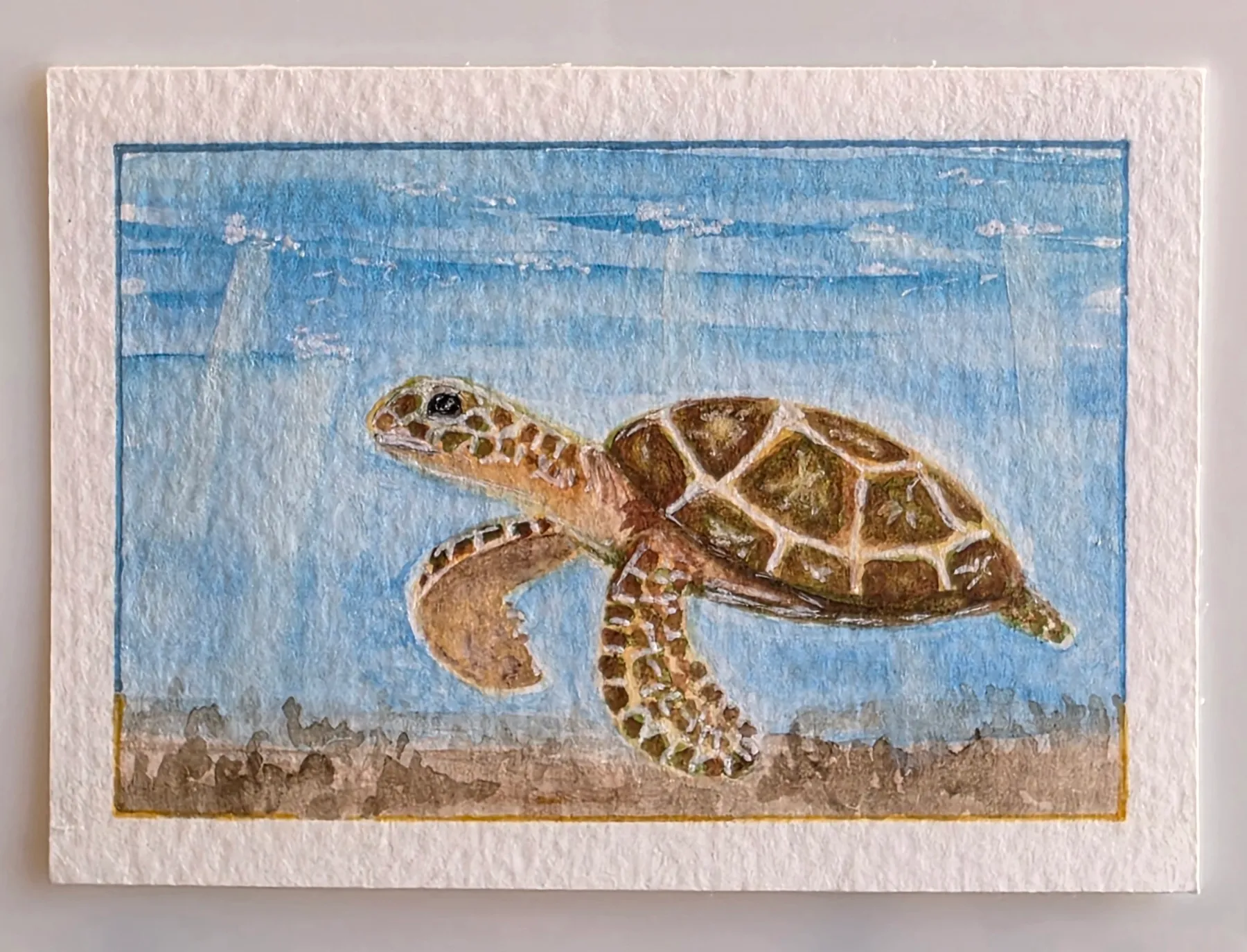 Sea Turtle aceo art card