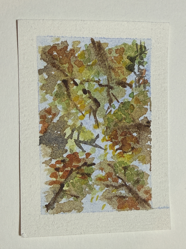 Under the Trees aceo art card
