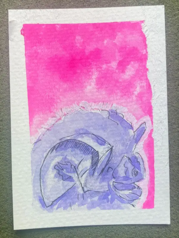 All Ears No.2, Townsend's Big-Eared Bat aceo art card