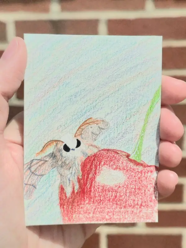 Moth on cherry aceo art card