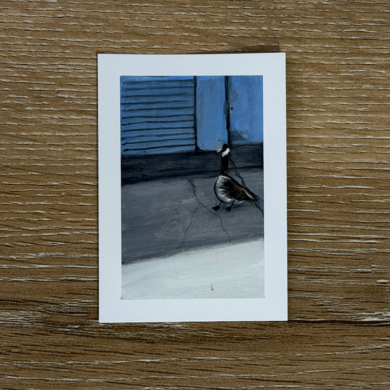 Just a Goose aceo art card