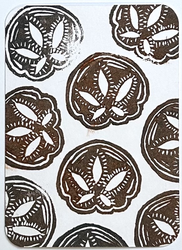 Sand Dollars 1 aceo art card
