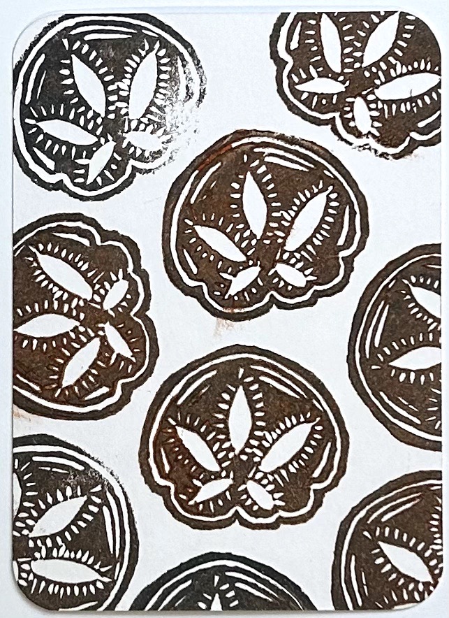 Sand Dollars 1 aceo art card