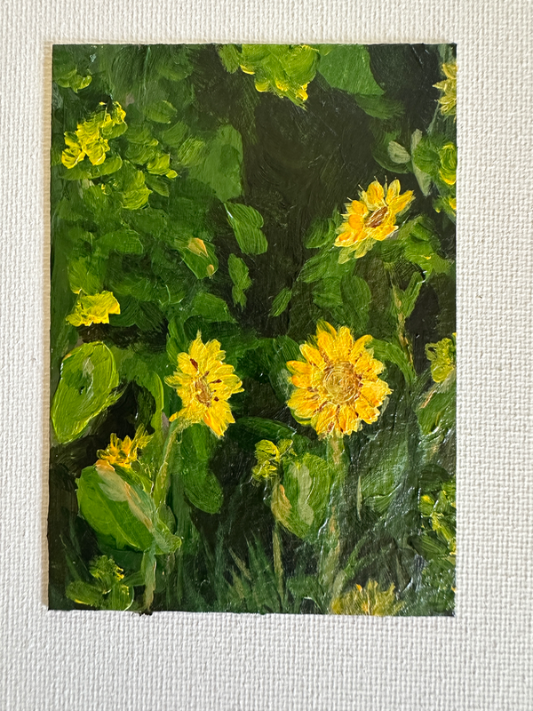 Sunflowers aceo art card