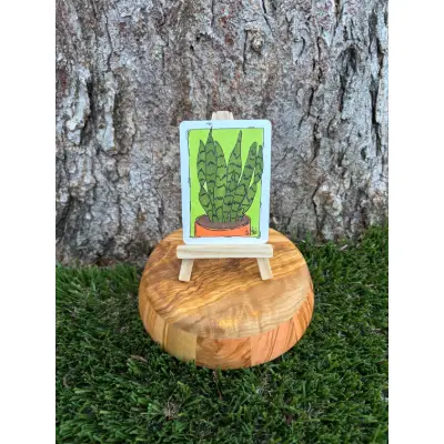 Sirius the Snake Plant aceo art card thumbnail 1
