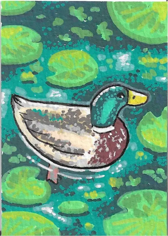 Duck Pond aceo art card