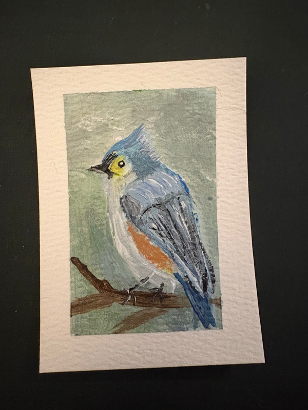 Tufted Titmouse aceo art card