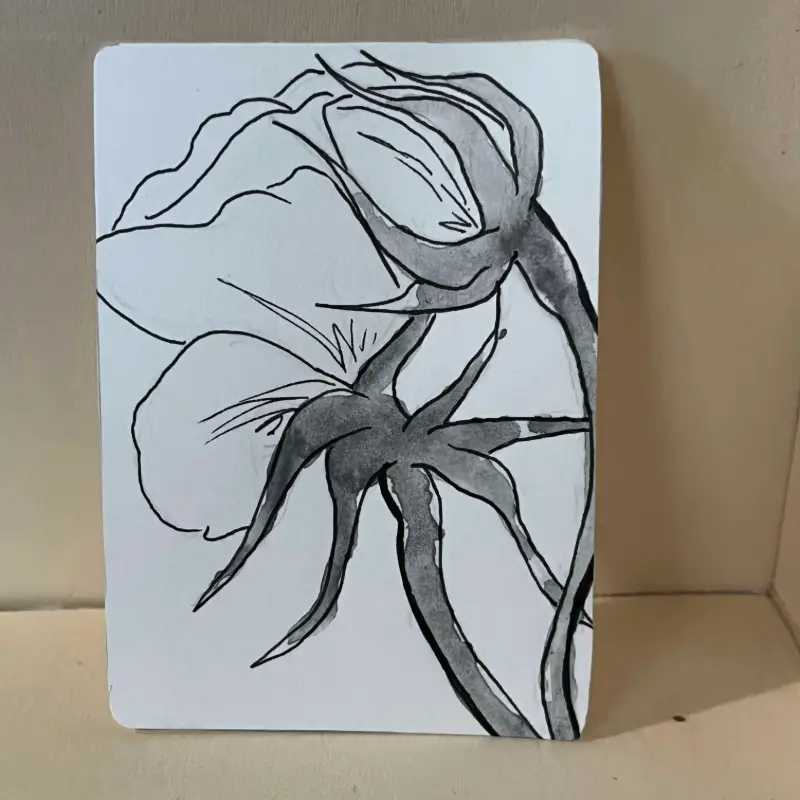 botanical rose study aceo art card