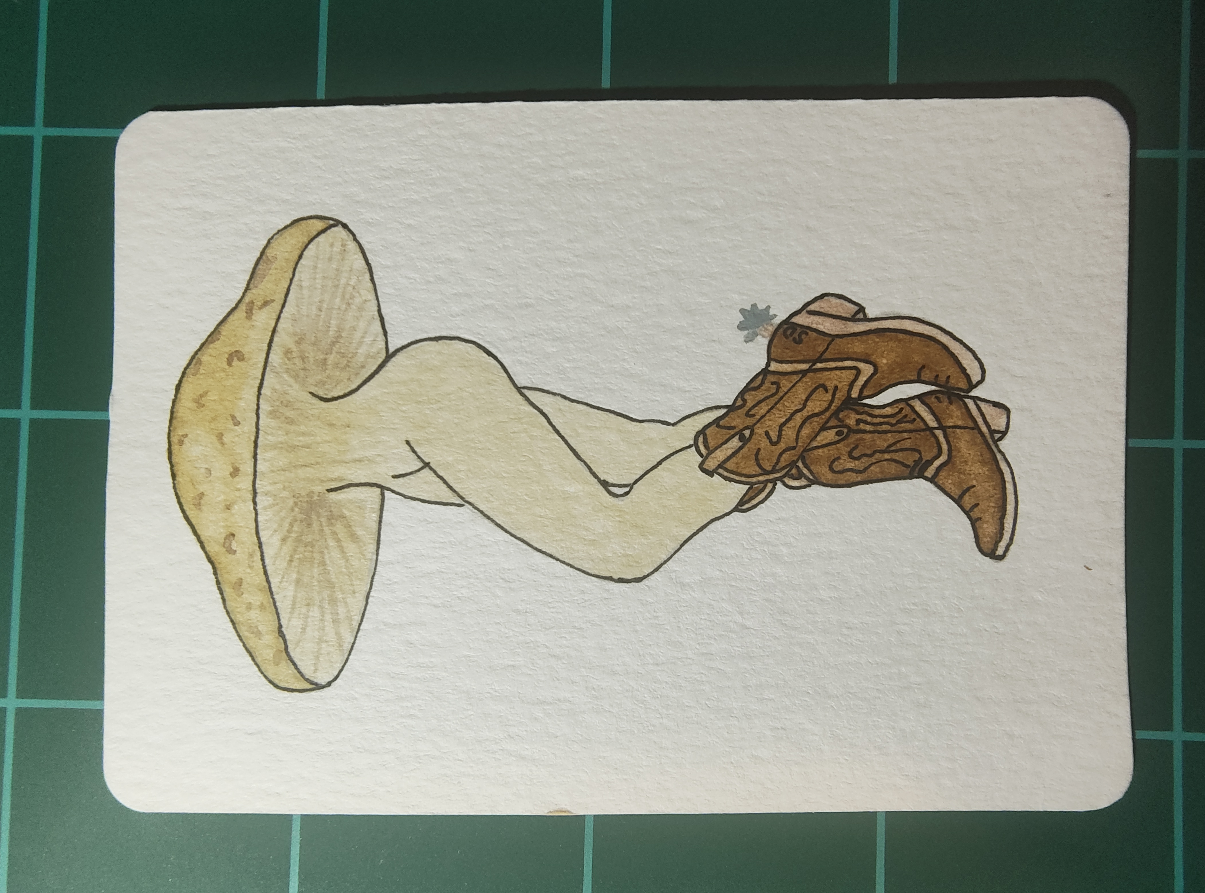 Save a Horse,Ride a mushroom aceo art card