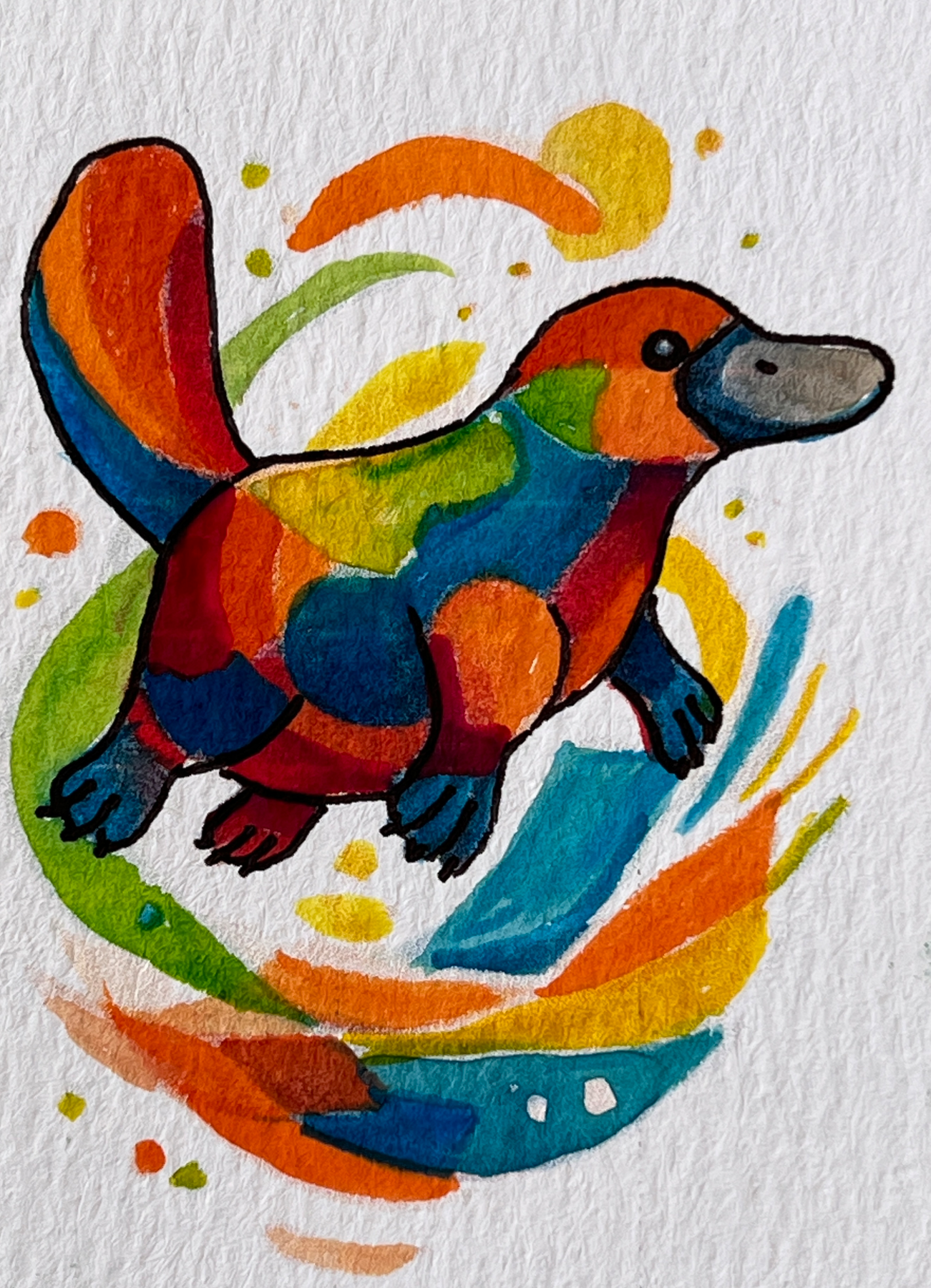 Aussie Platypus aceo art card