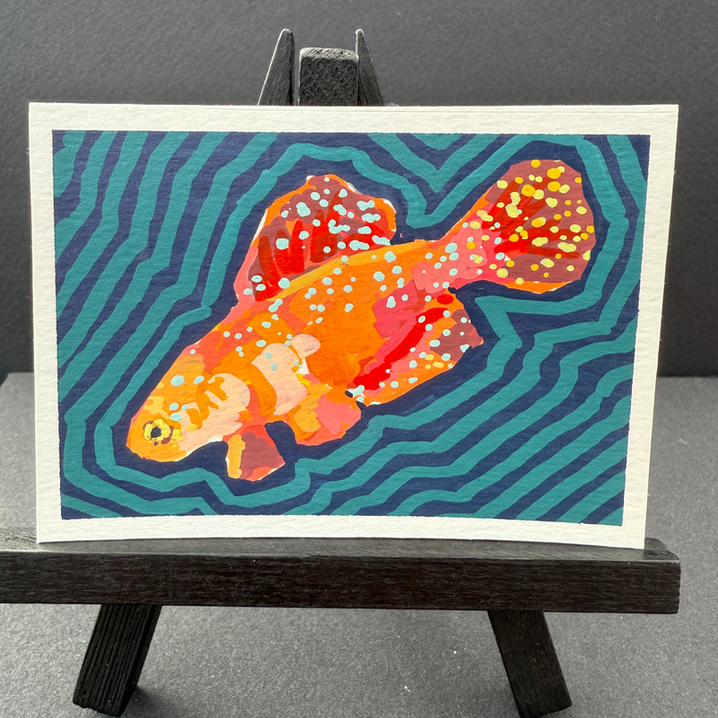 spots & stripes aceo art card