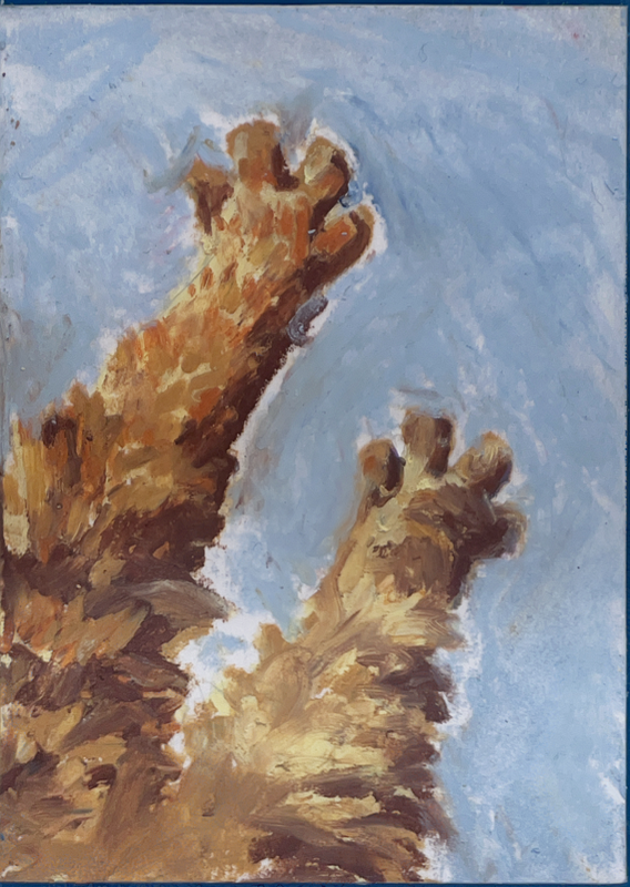 Kitty Peets 1/3 Set aceo art card