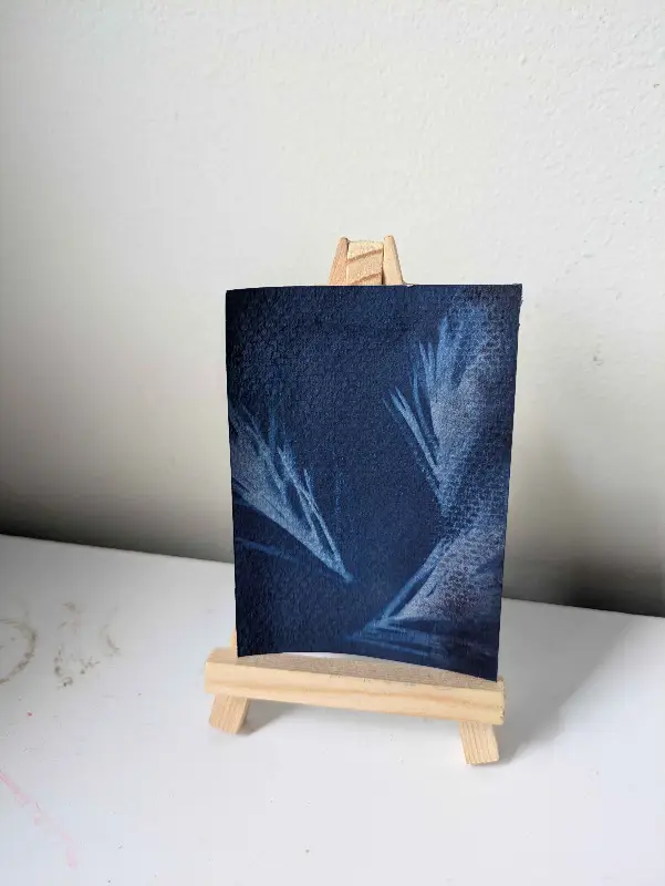Pine Cyanotype aceo art card