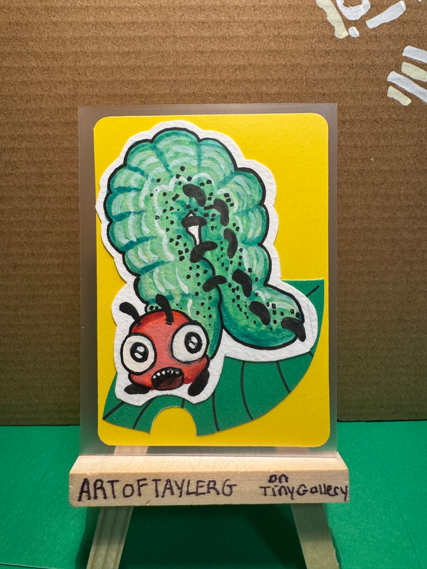 Dryocampa Rubicunda aceo art card