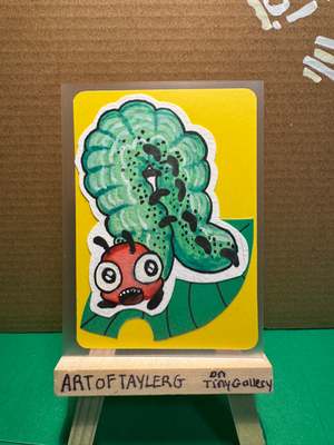 Dryocampa Rubicunda aceo art card thumbnail 1