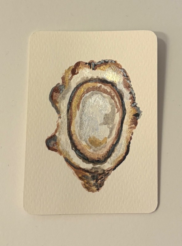 Oyster # 1 aceo art card