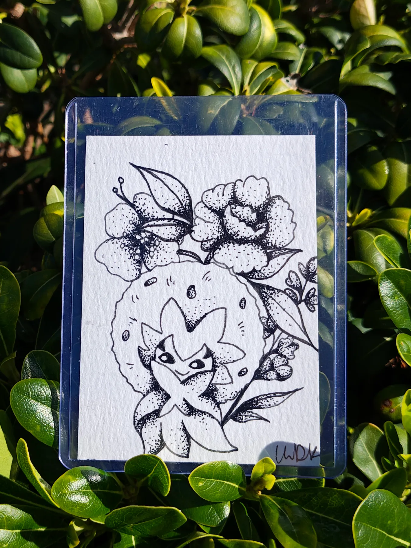 Cotton Head aceo art card