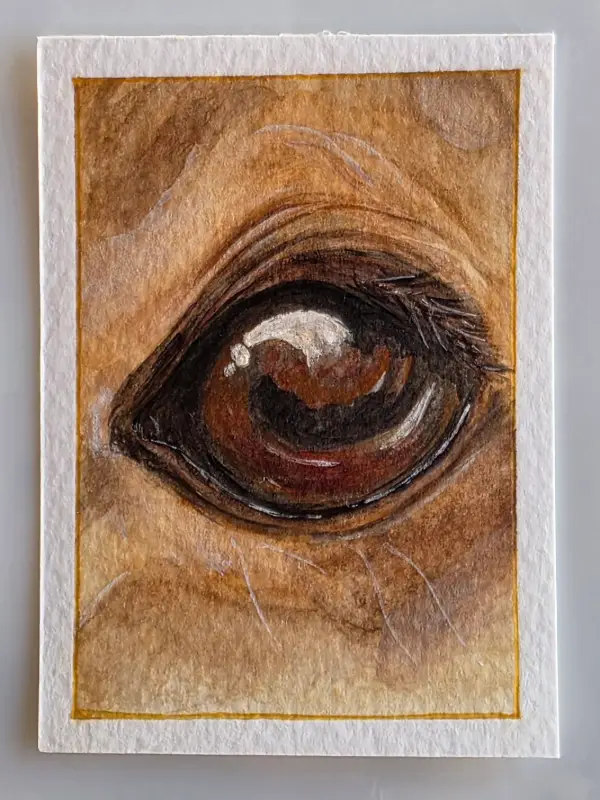 Heart Horse aceo art card