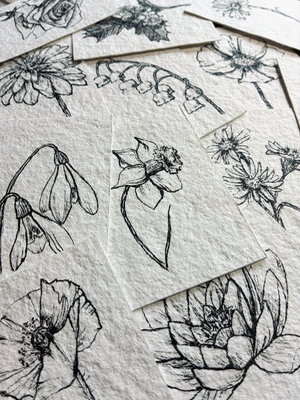 Birth Month Flowers aceo art card thumbnail 5