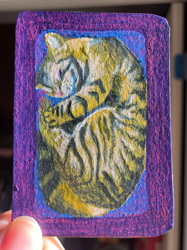 Cat in the box - original by Norah Mae aceo art card