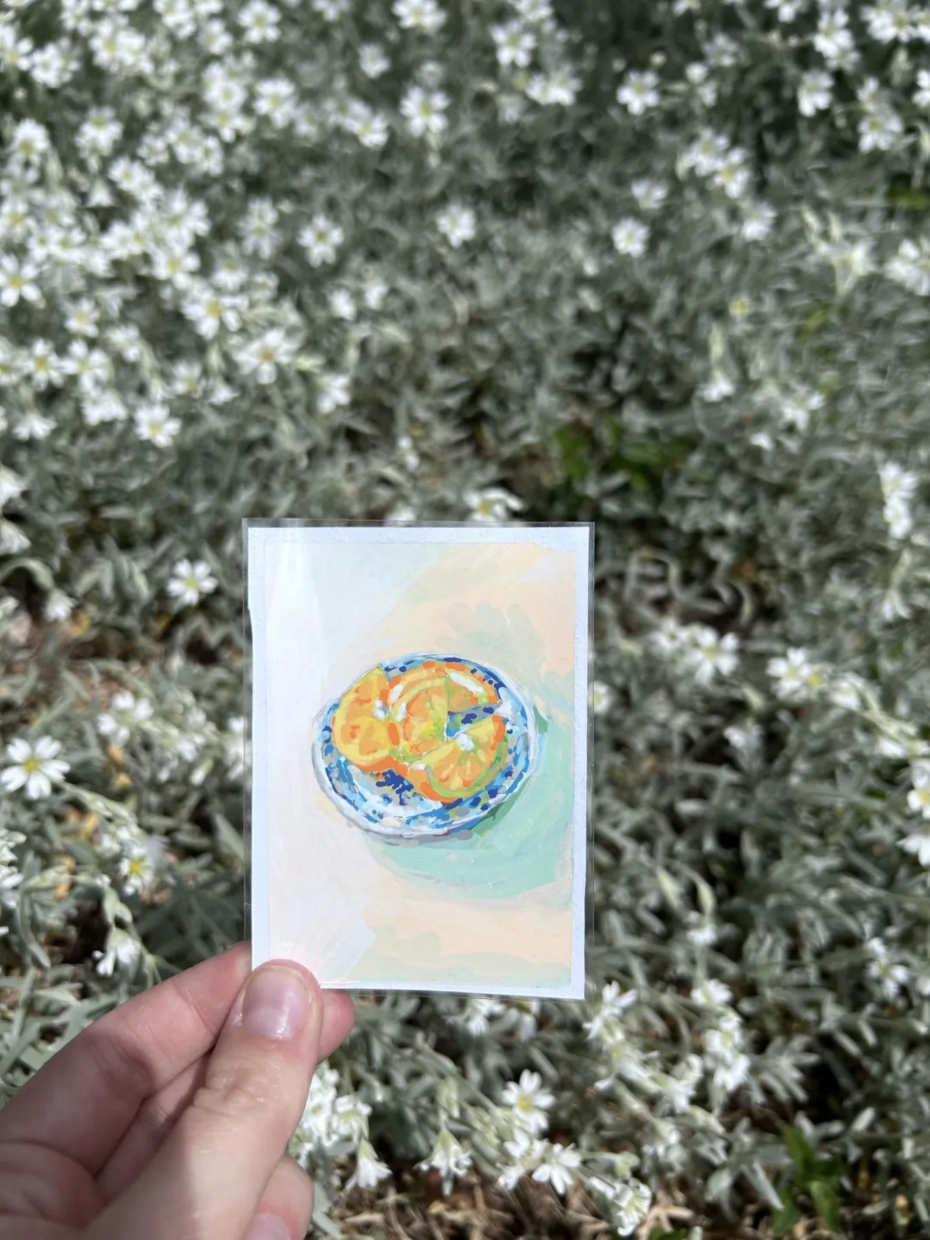 Soft Oranges aceo art card