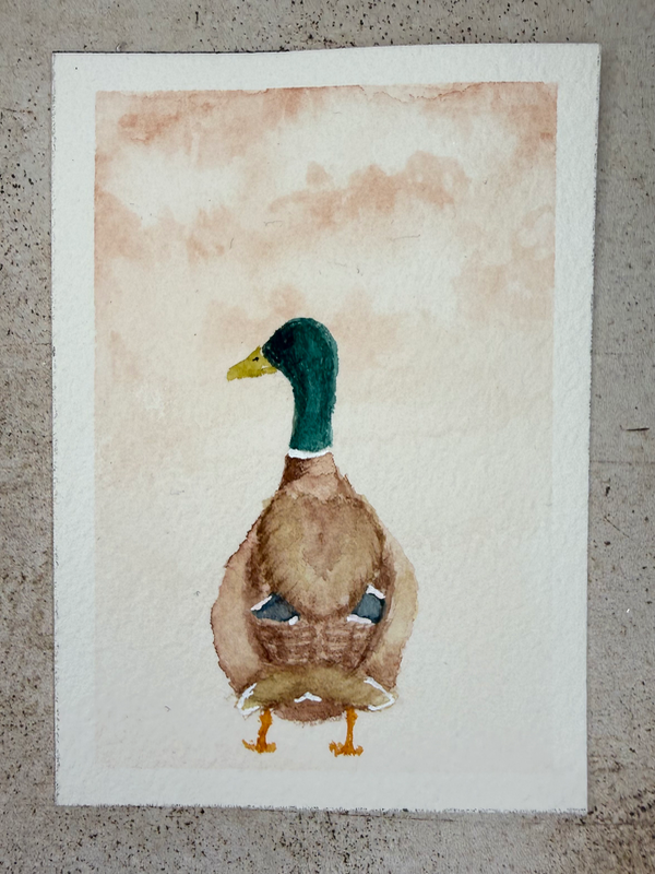 Indignant Mallard (Rear View) aceo art card