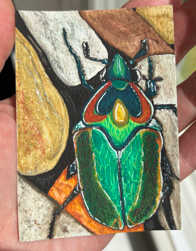 Mr. Beetle aceo art card