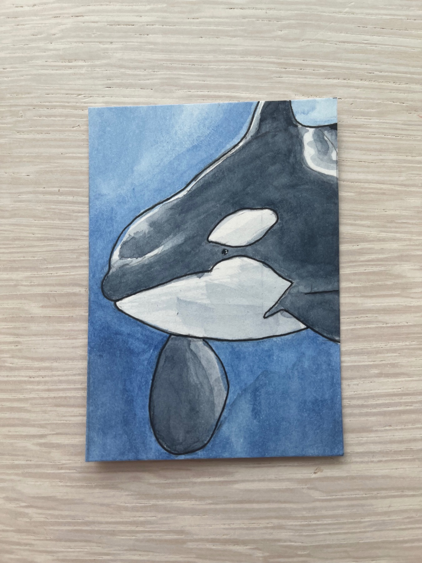 “Curiosity” Orca Series 3/4 aceo art card