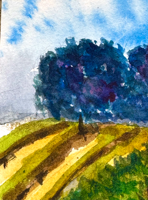 Tuscan fields aceo art card