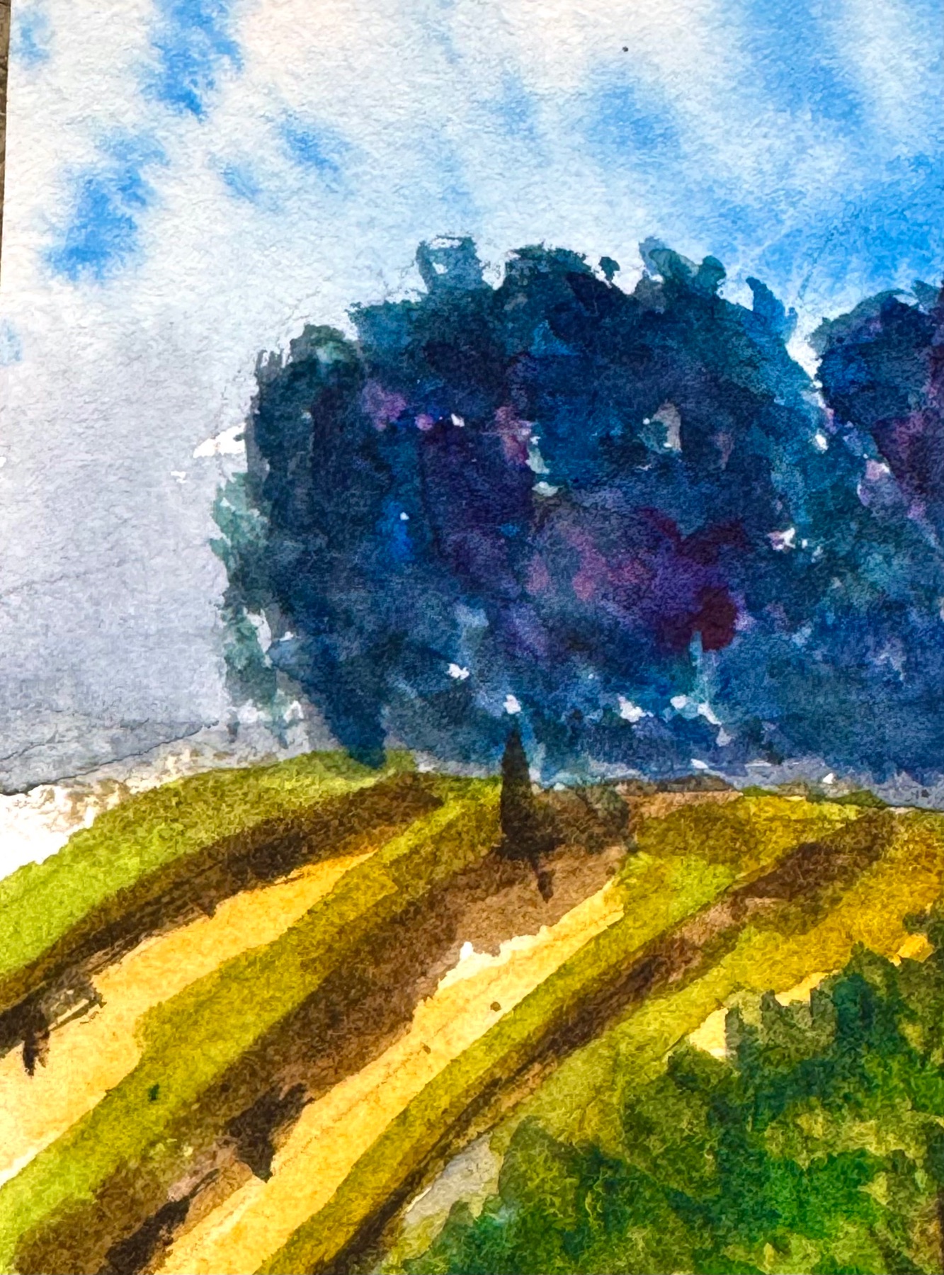 Tuscan fields aceo art card