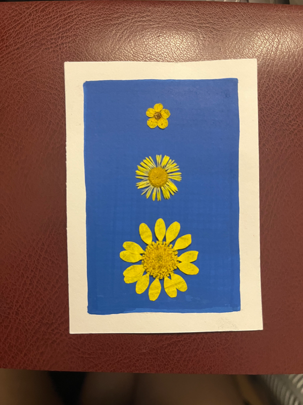Sun Flower aceo art card