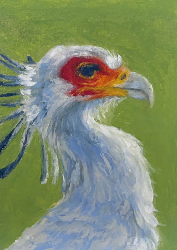 Secretary Bird aceo art card
