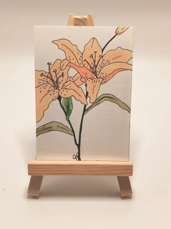 Peach Lily Pair aceo art card