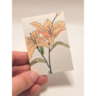 Peach Lily Pair aceo art card thumbnail 2