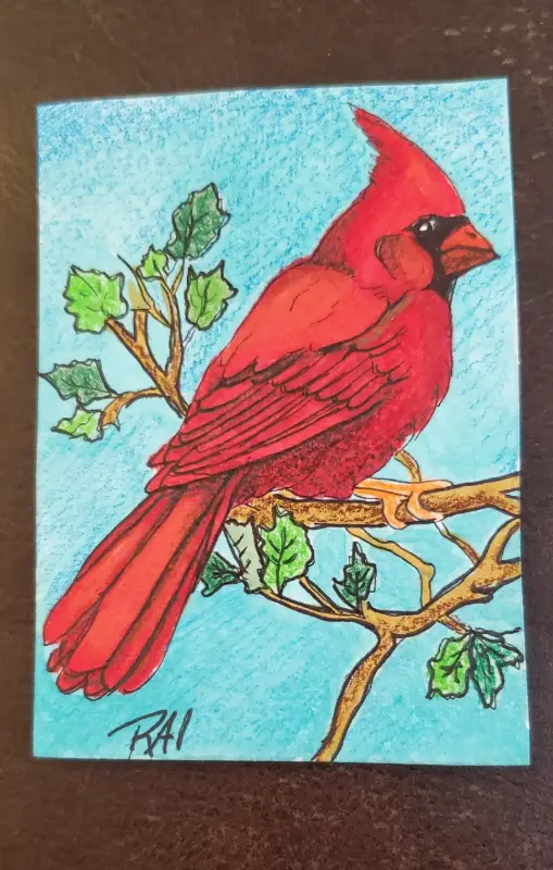 Cardinal aceo art card