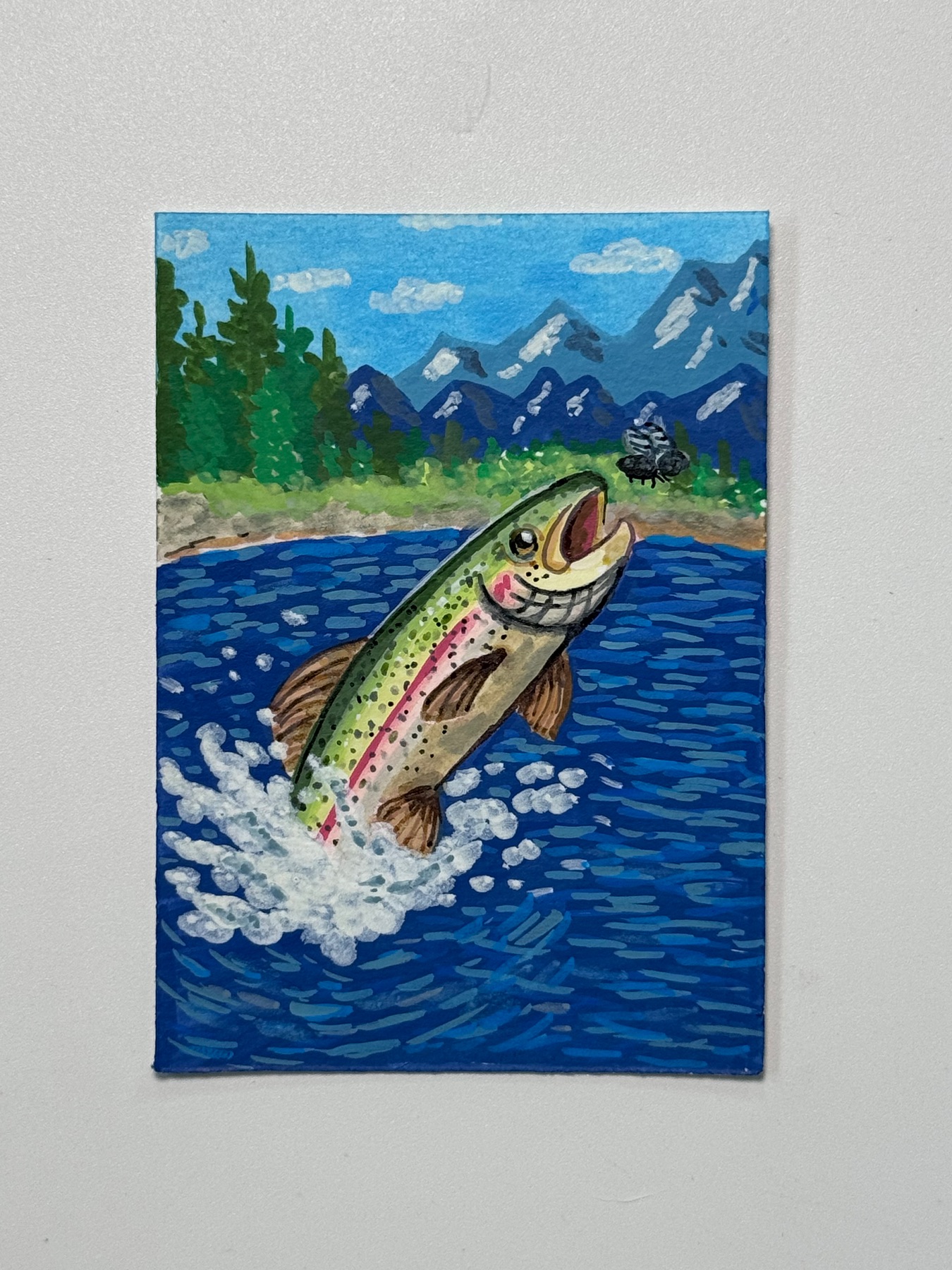 Hungry rainbow trout aceo art card