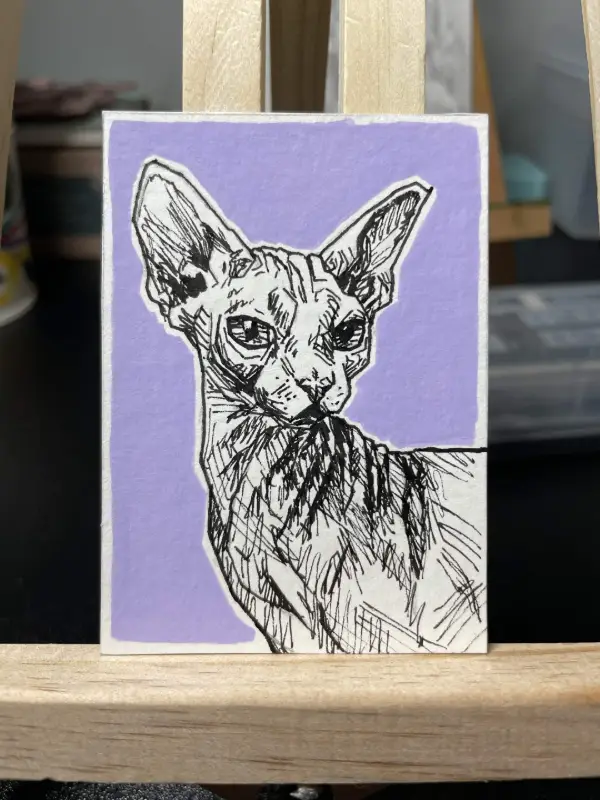Hairless Cat aceo art card